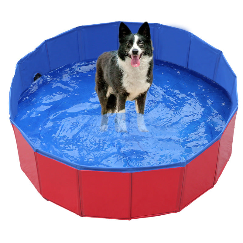 Dog Pool